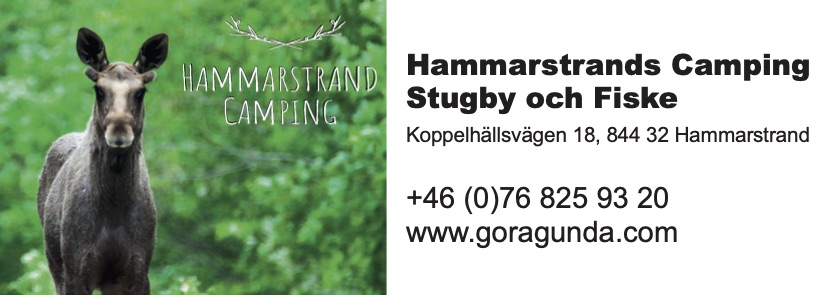 Hammarstrands Camping